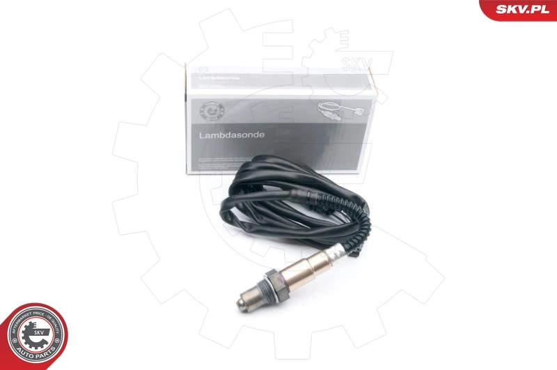 Oxygen Sensor